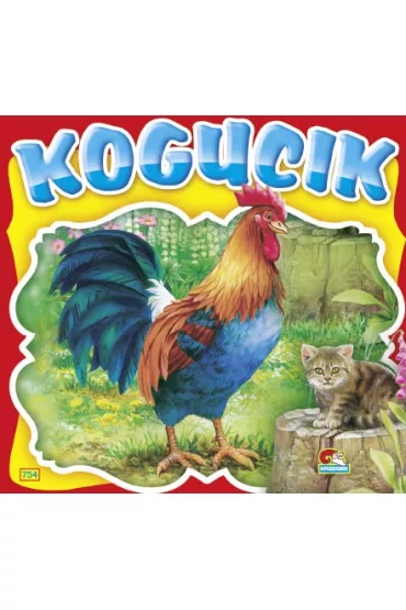 Kogucik. Sztywniaczek