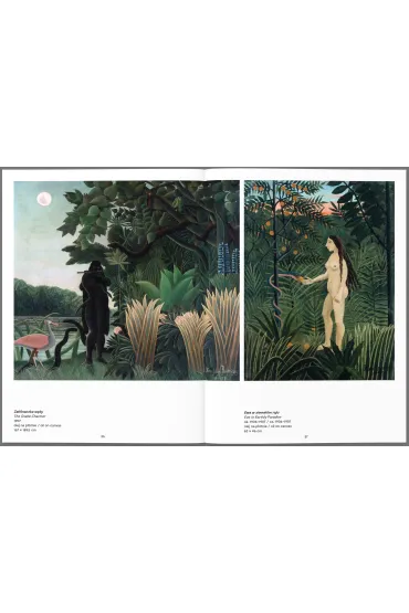 Henri Rousseau. Malarstwo �wiatowe - Agnieszka Widacka-Bisaga