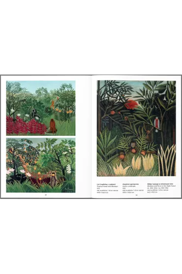 Henri Rousseau. Malarstwo �wiatowe - Agnieszka Widacka-Bisaga