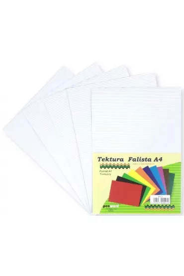 Polsirhurt Tektura A4 falista bia�a 5 szt.