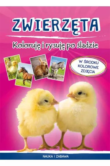 Zwierz�ta Koloruj� i rysuj� po �ladzie - Monika My�lak
