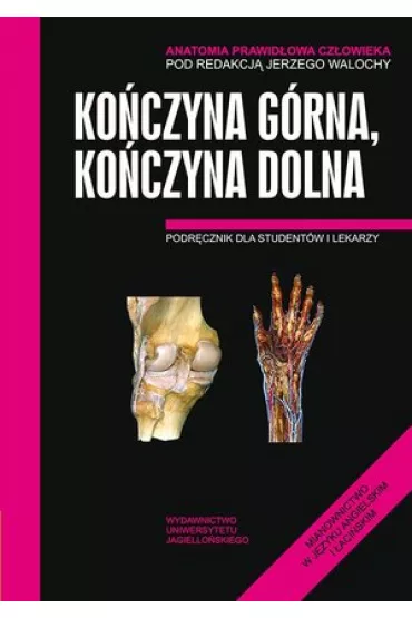 Anatomia prawid�owa cz�owieka. Ko�czyna g�rna, ko�czyna dolna