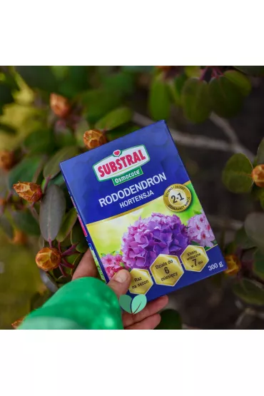Substral Nawz Rododendron do rolin kwanolubnych 300 g