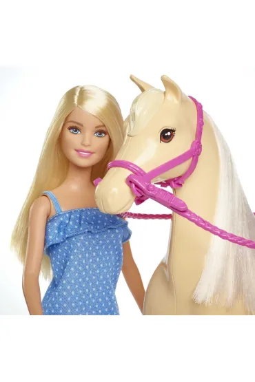Barbie Lalka+ko� podstawowy FXH13 Mattel