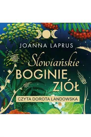 Audiobook S�owia�skie Boginie Zi� mp3 - Joanna  Laprus