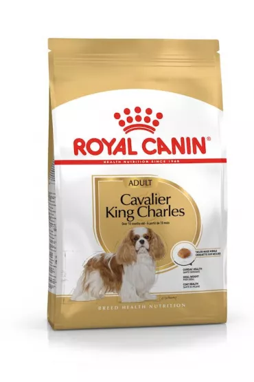 Royal Canin Cavalier king charles adult - karma sucha dla doros�ych i starszych ps�w, rasy cavalier king charles spaniel 1 kg