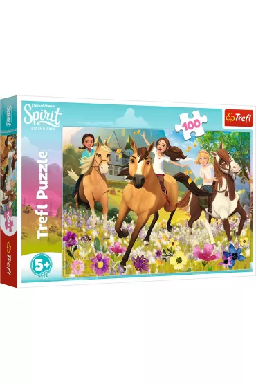 Puzzle 100 Pod��aj za marzeniami Trefl