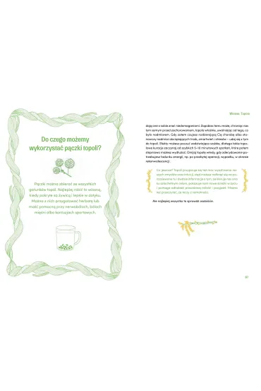 Drzewnik. Lena terapia w praktyce - Agnieszka  Antosik