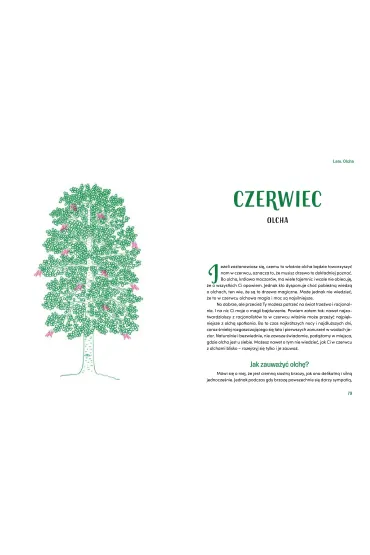 Drzewnik. Lena terapia w praktyce - Agnieszka  Antosik