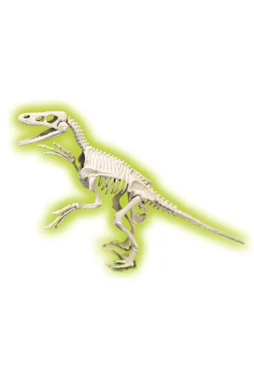 Skamienia�o�ci - Welociraptor fluorescencyjny Clementoni