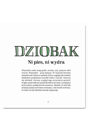 G�by, dzioby i nochale - Maria Mroux Bulikowska, Miko�aj Golachowski