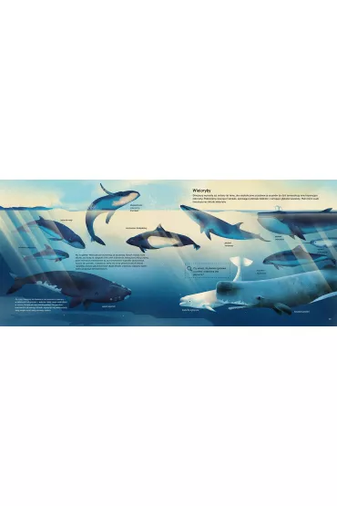 �wiat m�rz i ocean�w - Dieter Braun