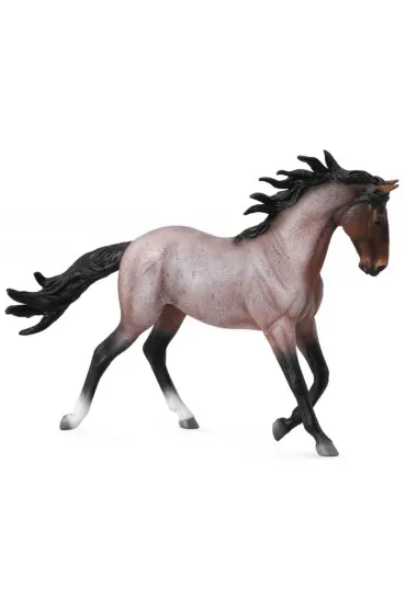 Klacz Mustang ma�ci Bay Roan