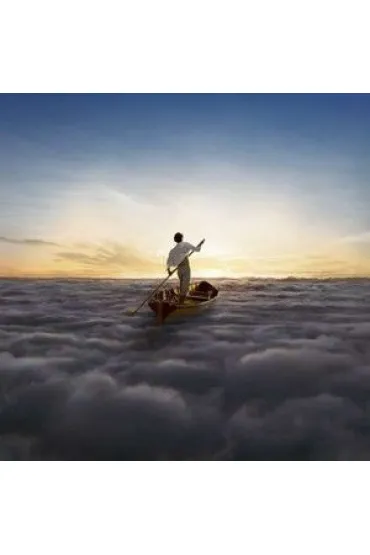 The Endless River (vinyl) - Pink Floyd