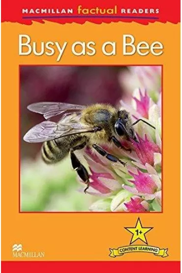 Factual: Busy as a Bee 1+ - Louise P. Caroll