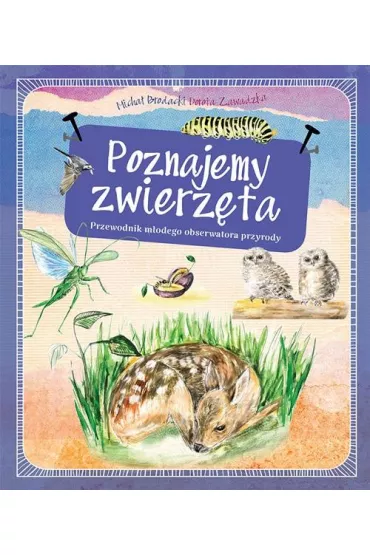 Poznajemy zwierz�ta. Przewodnik m�odego obserwatora przyrody - Dorota Zawadzka, Micha� Brodacki, Alicja Gadomska