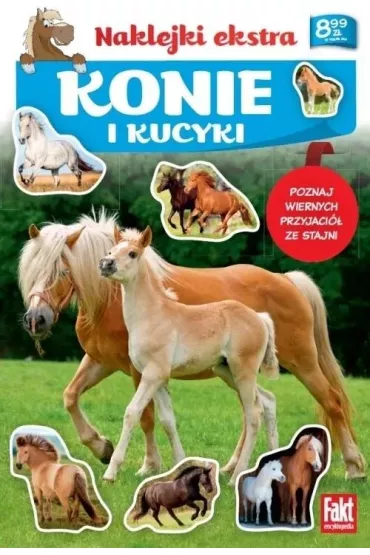 Konie i kucyki