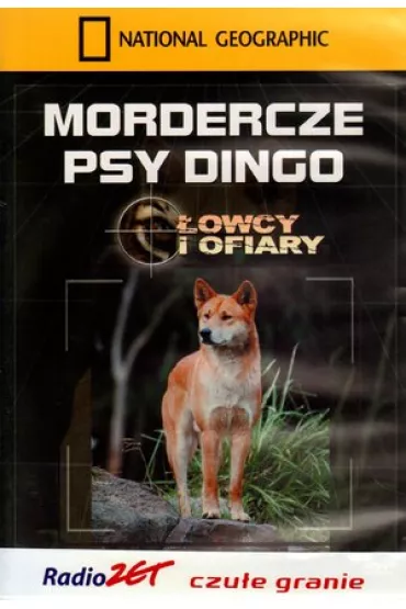 Mordercze psy dingo. �owcy i ofiary