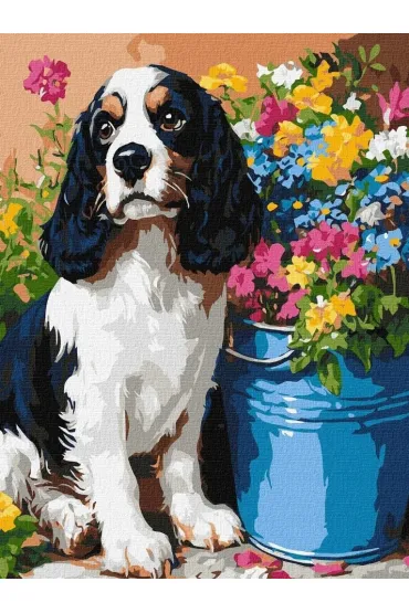 Ideyka Malowanie po numerach - Uroczy spaniel 30x40cm