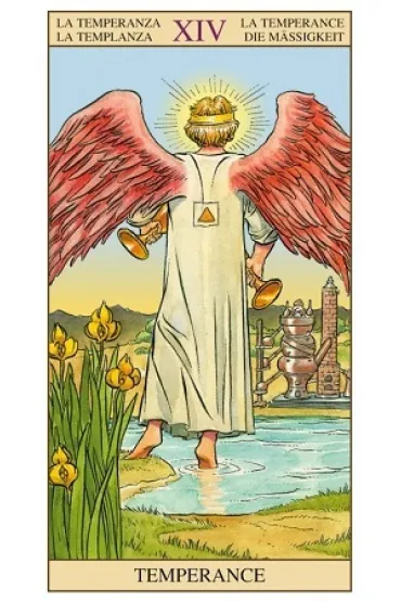 Zestaw Tarot of The New Vision + ksi��ka - Pietro Alligo