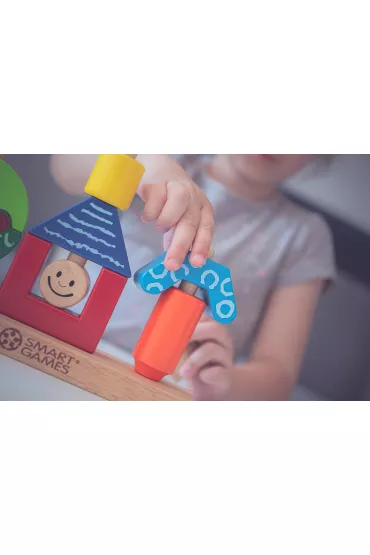 Smart Games. Day & Night (ENG) IUVI Games