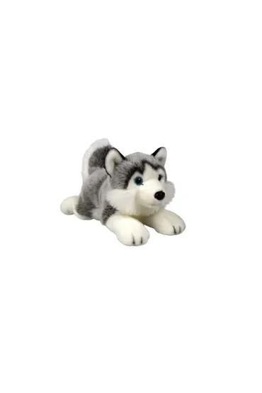 Husky le��cy 34cm Dubi