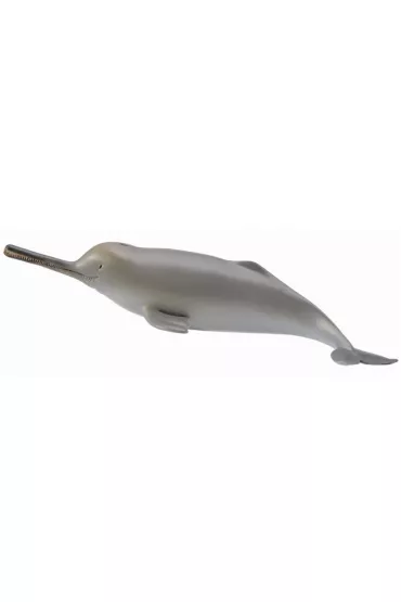 Collecta Delfin z rzeki Ganges