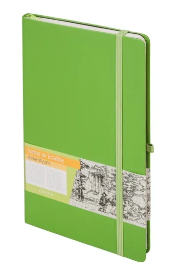 Antra Notes A5 Romantyzm zielony kratka 160 kartek