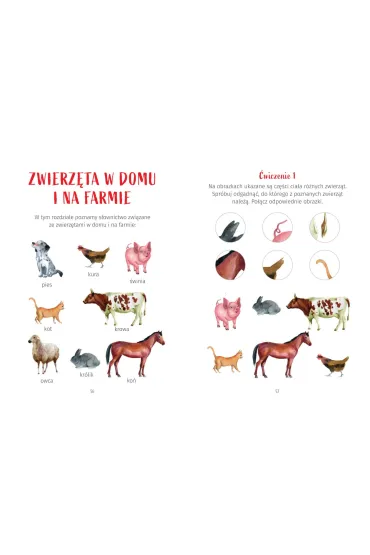 �wiczenia dla przedszkolak�w z elementami metody Montessori - Weronika Starzy�ska