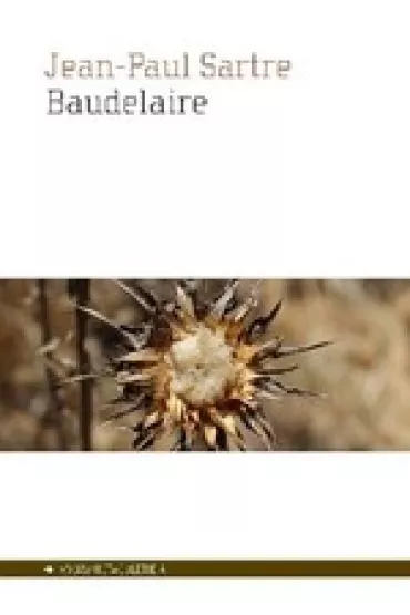 Baudelaire - Jean Paul Sartre
