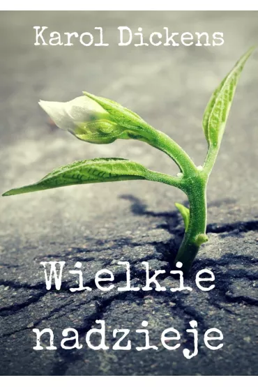 eBook Wielkie nadzieje mobi epub - Charles Dickens