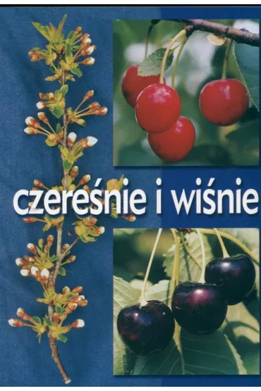 Czere�nie i wi�nie - Miros�aw Sitarek