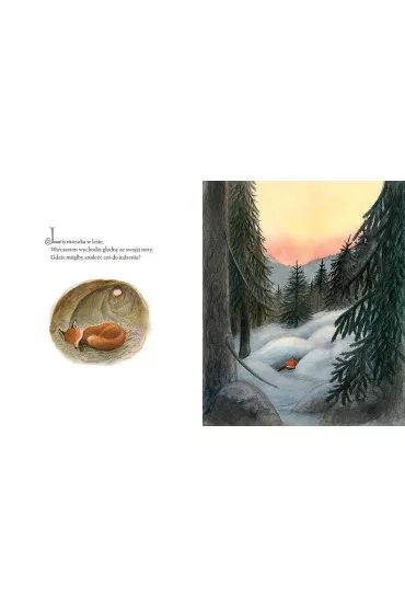 Lis i skrzat - Eva Eriksson, Astrid Lindgren