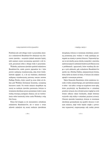Gro�na grota. Seria niefortunnych zdarze�. Tom 11 - Lemony Snicket