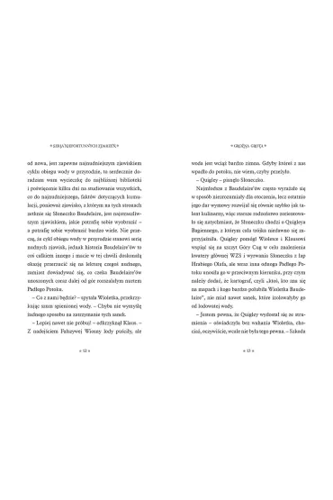 Gro�na grota. Seria niefortunnych zdarze�. Tom 11 - Lemony Snicket