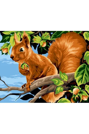 Koh-I-Noor Malowanie po numerach - Wiewi�rka z orzechem 40x50cm