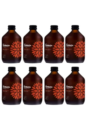 Vigo Yoko Kombucha z malin� i rozmarynem Zestaw 8 x 330 ml Bio