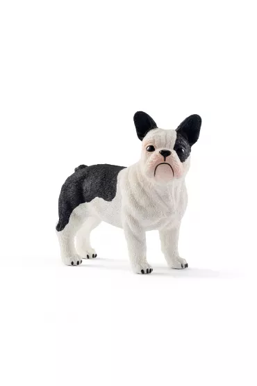 Buldog Francuski