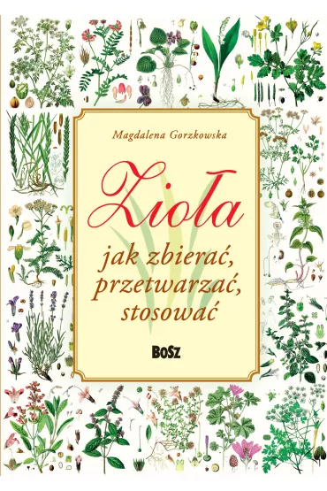 Zio�a. Jak zbiera�, przetwarza�, stosowa� - Magdalena Gorzkowska