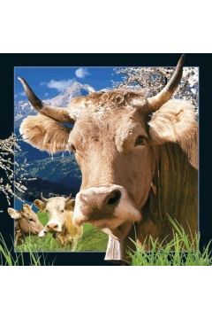 Pocztwka 3D Szwajcarska krowa