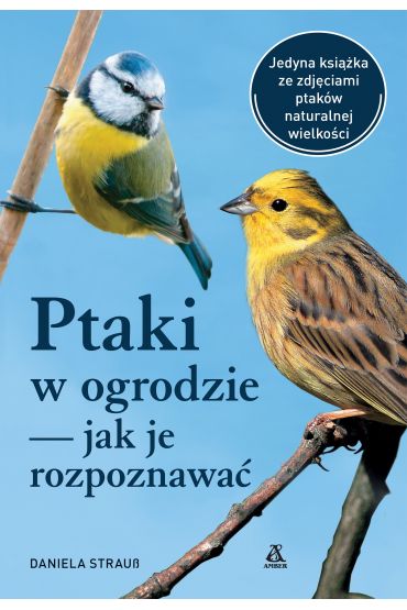 Ptaki w ogrodzie – jak je rozpoznawać