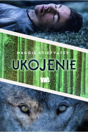 Ukojenie. Wilko�aki z Mercy Falls. Tom 3 - Maggie Stiefvater
