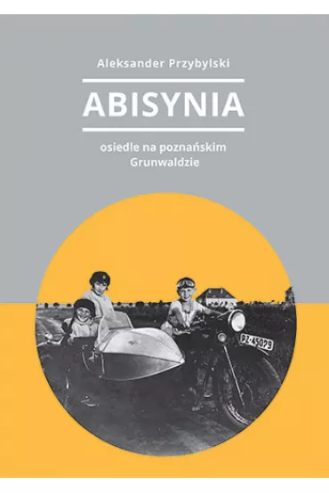 Abisynia. Osiedle na pozna�skim Grunwaldzie - Aleksander Przybylski
