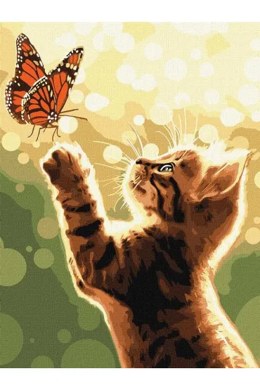 Ideyka Malowanie po numerach - Kot i motyl 30x40cm