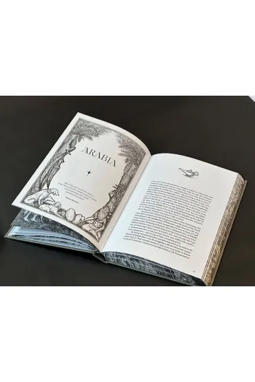 Dark Fairy Tales: Weird, Wicked Stories from Around the World - Nedelea Luciana, Wynd Viktor