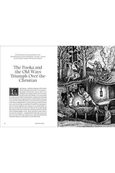 Dark Fairy Tales: Weird, Wicked Stories from Around the World - Nedelea Luciana, Wynd Viktor