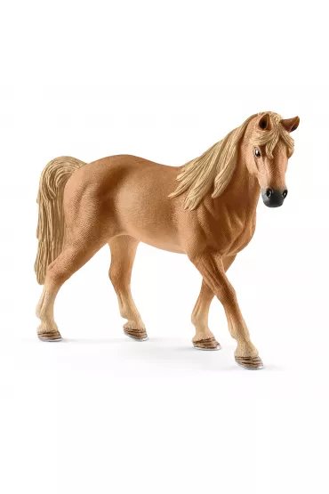 Klacz rasy Tennessee Walker