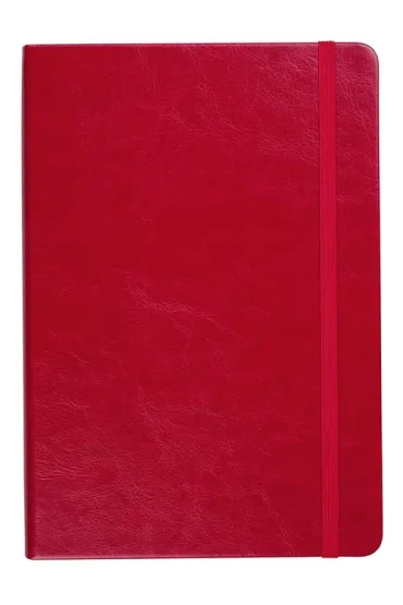 Antra Notes A5 Formalizm linia