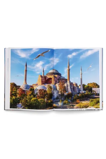 The Book of Temples. Spiritual Places Around the World - Marianne Julia  Strauss