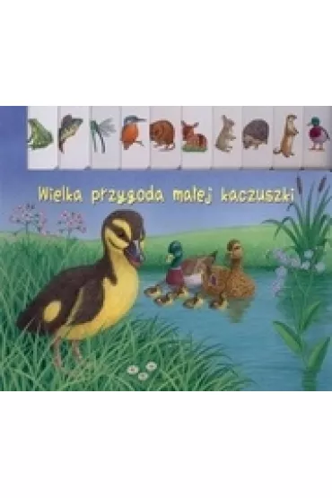 Wielka przygoda ma�ej kaczuszki